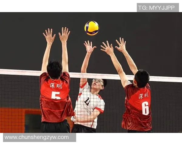 武汉排球队的节奏与魅力探秘：排球运动的热情与团结精神